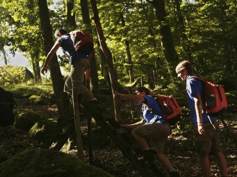 Des Scouts en randonnée dans la forêt