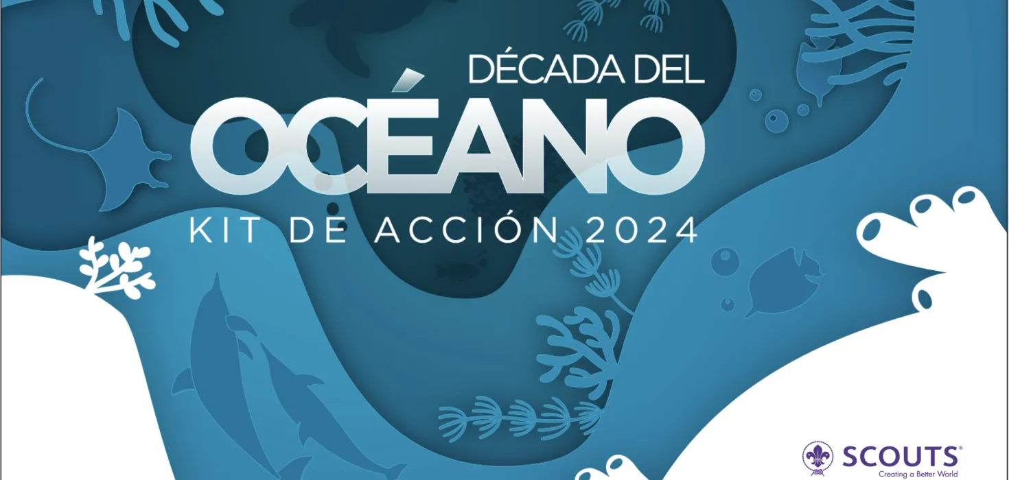 The Ocean Decade cover