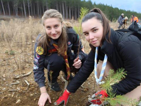 Deux Scouts plantent un arbre dans une zone brûlée par des feux de forêt en Macédoine du Nord.