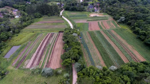 A field in Sao Paolo where scouts are implementing projects to reduce poverty and help the environment