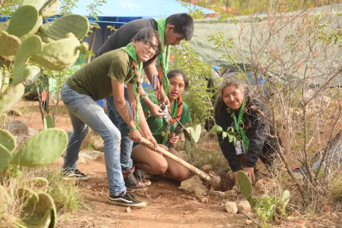 Scouts planting trees