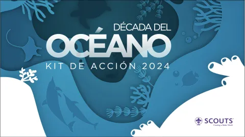 The Ocean Decade cover