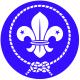 The Scout Association of Papua New Guinea