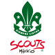 Asociación de Scouts de México