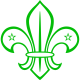 Boy Scouts van Suriname