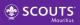 The Mauritius Scout Association